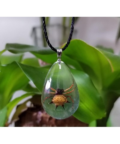 Resin Black Scorpion Necklace for Women Men Real Scorpion Sample Inserted Inside Resin Oval Transparent Pendant Holiday or Bi...