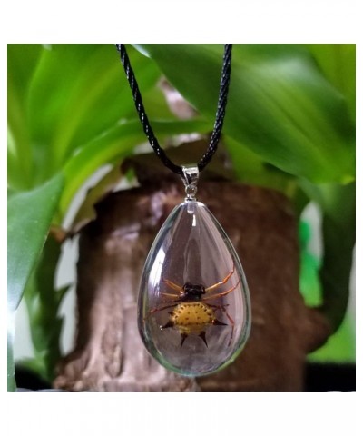 Resin Black Scorpion Necklace for Women Men Real Scorpion Sample Inserted Inside Resin Oval Transparent Pendant Holiday or Bi...