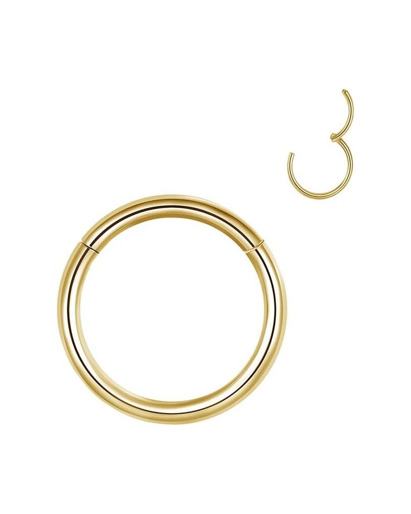 Earrings for Women，316 Stainless Steel Hoops Cartilage Hoop Nose Rings Earring Lip Ring 18/20g Diameter 6mm to 8mm 6mm(0.24in...