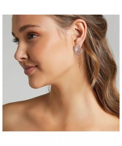 Women's Gorgeous Zircon Wedding Party Teardrop Hoop Stud Earrings Butterfly_Clear Rose Gold-Tone $9.50 Earrings