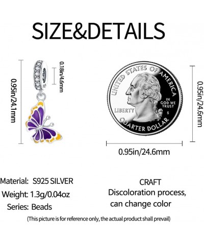 925 Sterling Silver Charms Suitable for Charm Necklaces, Bracelet Pendants Beads Jewellery Gift for Girls Women Colour Changi...