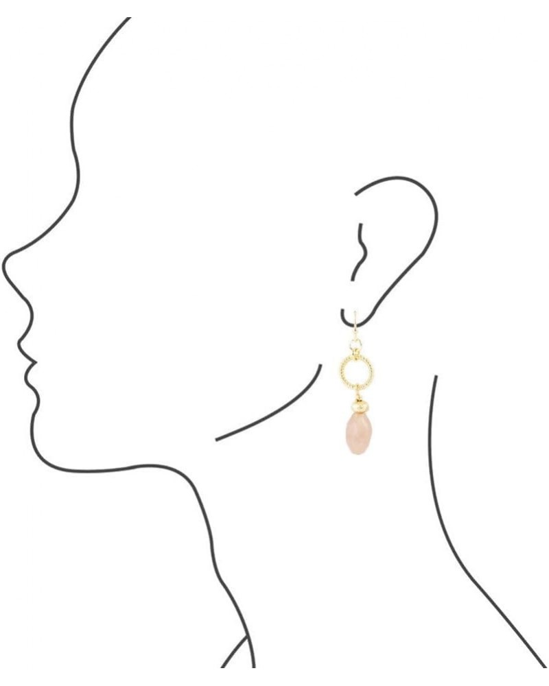 Sunstone Classic Drop Earrings $8.40 Earrings