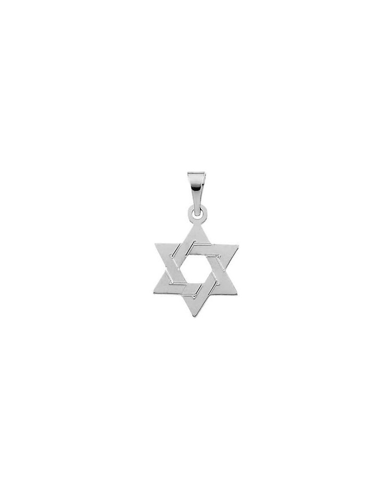 14k White Gold Religious Judaica Star of David Pendant Necklace 12x9mm Jewelry Gifts for Women $46.20 Necklaces