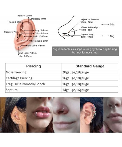 5 Pcs 20G 18G 16G Nose Rings Hoop Set 316L Surgical Steel Earrings Tragus Septum Piercing Cartilage Hoop For Women Men 16g 9m...