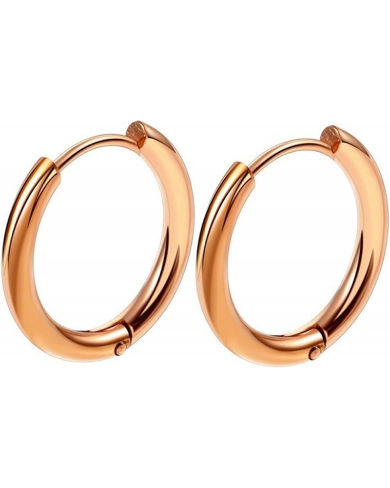 1 Pair Hoop Earrings Stainless Steel Geometric Elegant Polished Silver Color Metal Circle Earrings Fashion Jewelry Rose Gold ...