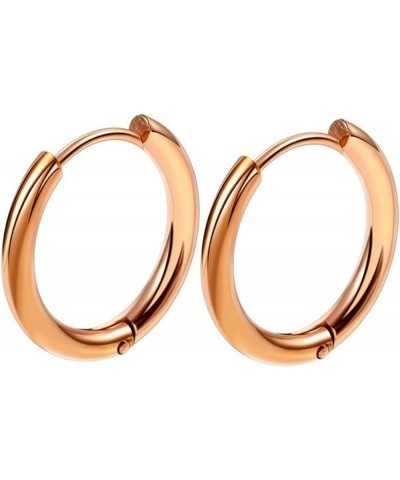 1 Pair Hoop Earrings Stainless Steel Geometric Elegant Polished Silver Color Metal Circle Earrings Fashion Jewelry Rose Gold ...