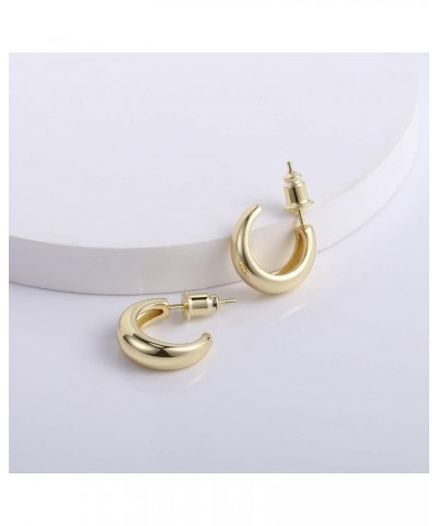 Small Hoop Earrings Hypoallergenic 14K Gold Plated Sterling Silver Post Samll Open Hoops Earrings for Women Girls A-14K Gold ...