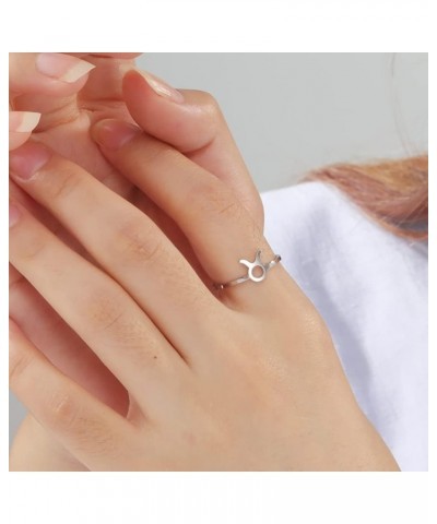 12 Zodiac Signs Constellation Ring Jewelry Stainless Steel Astrology Horoscope Adjustable Finger Ring Band Jewelry For Women ...