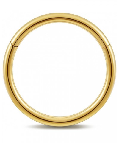 ASTM F136 Titanium Nose rings Piercing Jewelry Hoop 16G 18G 20G 6mm 8mm Gold 16G(1.2mm), 5/16"(8mm) $7.79 Others