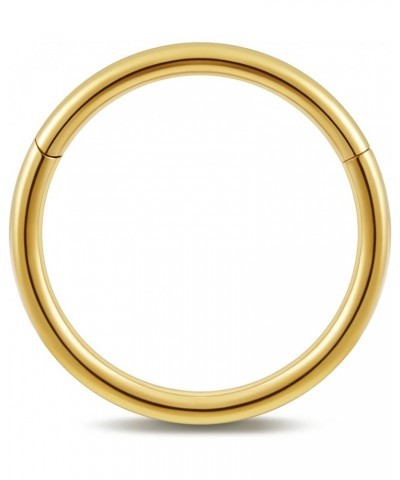 ASTM F136 Titanium Nose rings Piercing Jewelry Hoop 16G 18G 20G 6mm 8mm Gold 16G(1.2mm), 5/16"(8mm) $7.79 Others