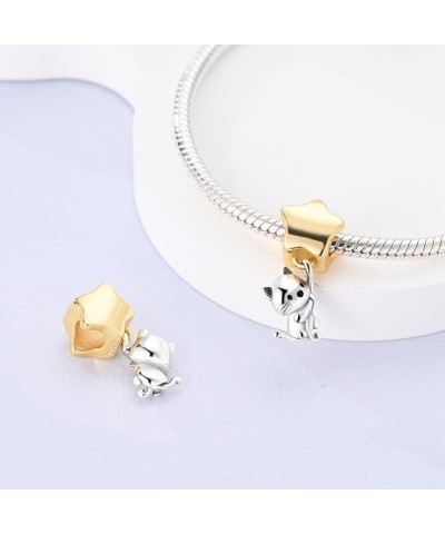 925 Sterling Silver Charms Suitable for Bracelet Pendants Beads, Charm Necklaces Jewellery Gift for Women Girls The Cat Picks...